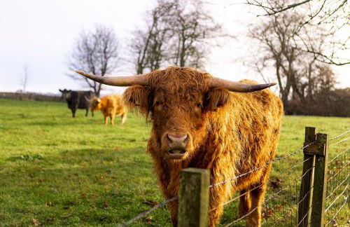 The Lodge House - By Elie - Foto 57