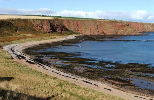 BELL ROCK VIEW ARBROATH - Photo 14