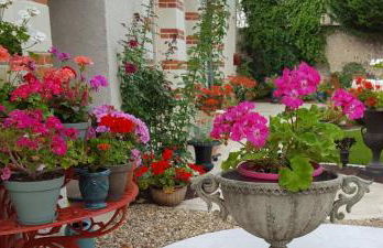 le logis medicis - Foto 27