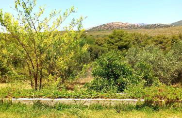 4T apartments - Foto 50