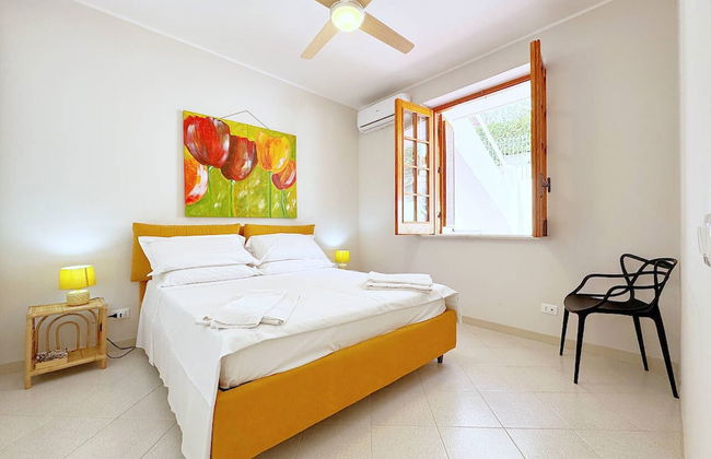 Solemar Sicilia - Cactus - Foto 1