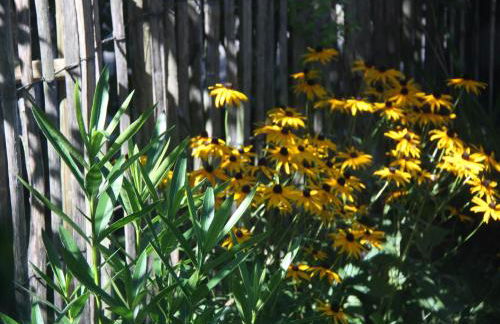 Ferienwohnungen Pano - Foto 5