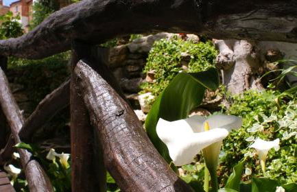 El Huertecillo - Foto 67