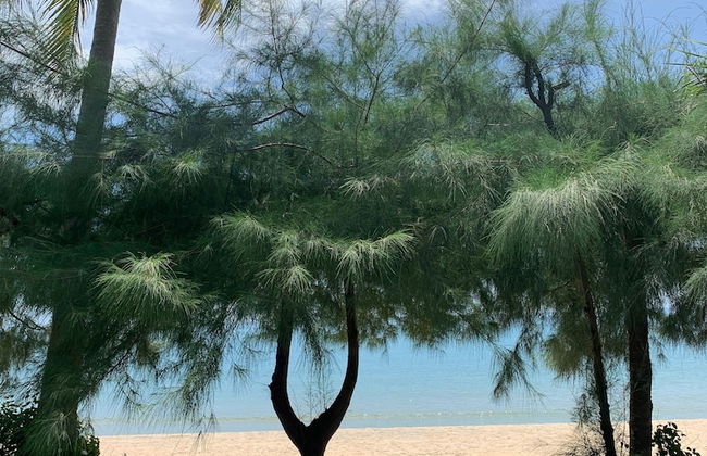 155 SalaCoco - Foto 69