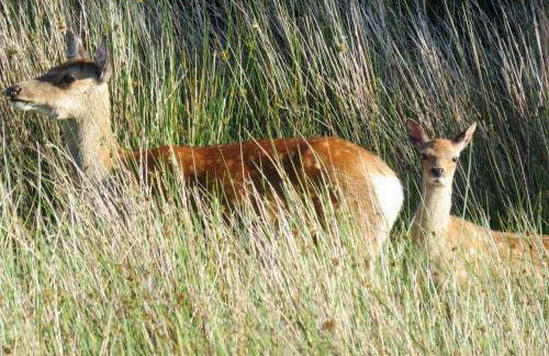 Hazel's Cottage - Foto 42