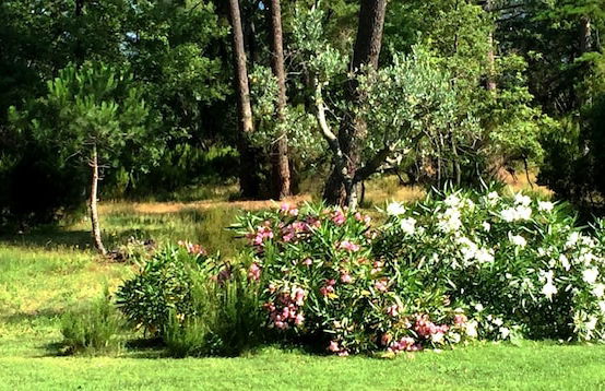 Poggio Corsucci - Foto 63