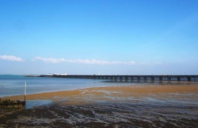 20 Bellevue Road - Foto 22