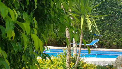 Il Giardino di Tolù Siracusa - Foto 4, Garden