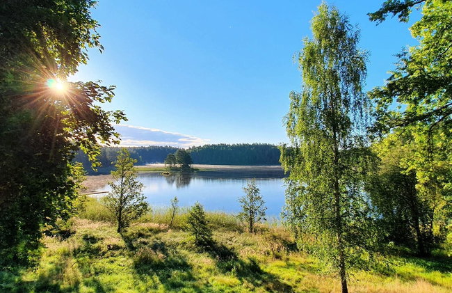 4 Person Holiday Home in Rejmyre - Foto 26