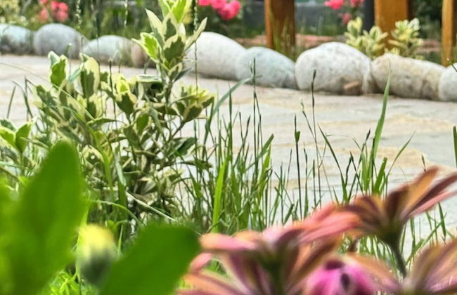 Seyregah Dag Evi - Foto 17