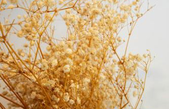 Studio La Résilience, au pied des pistes à Autrans - Foto 27