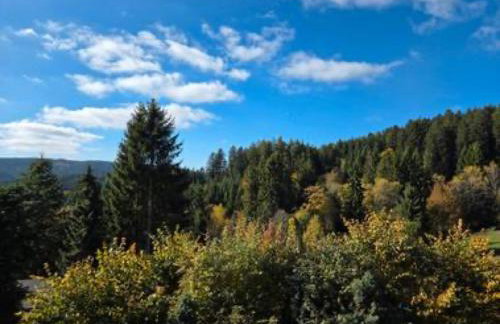 Schwarzwaldblick Rothaus - Photo 25