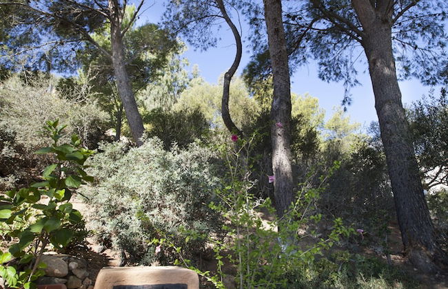 Villa Lina - Foto 28