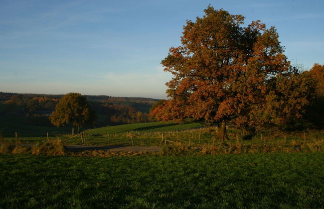 Countryside Holiday Home in Theux With Fenced Garden and BBQ - Foto 31