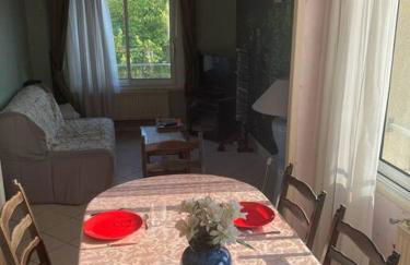 Appartement T2 lumineux CHU Stade Gaston Gérard 2 nuits minimum - Foto 15