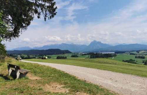 Apartment im Souterrain mit Terrasse - Foto 10
