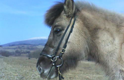 Studio Kaline - Foto 25