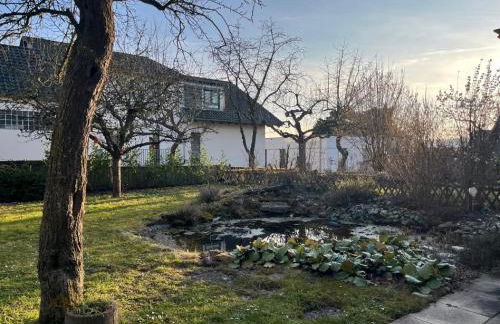 Dobhan Gästezimmer - Foto 12