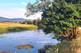 Cozy wooden house Robinia - Foto 30