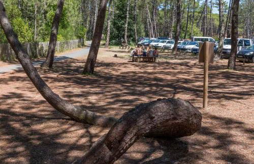 Mobil home Fare iti Cap Ferret, avec climatisation - Foto 26