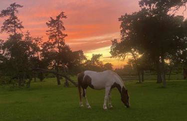 Red Bird Ranch - Private 140 acre Ranch Sleeps 12 - Foto 30