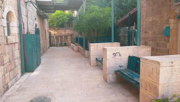 Terraço/pátio interior