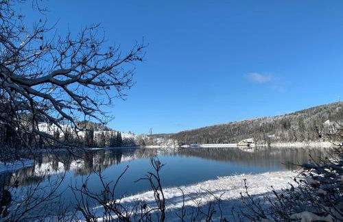 Rennsteig-Pension Trautwein - Foto 15