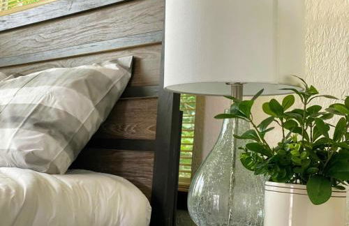 OU-Walk to Campus , Downtown ; Designer Studio - Foto 57