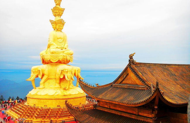 Cheng Du Wifc Suites -YYC Preferred - Photo 22