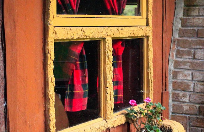 Los Vagones Cabañas Restaurante Bar - Photo 41