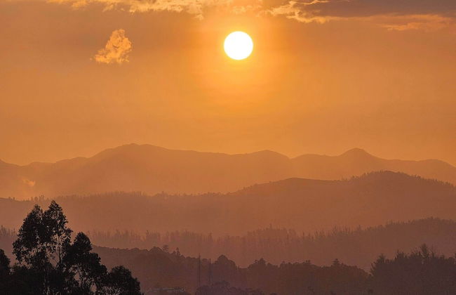 Songs of the Nilgiris - Foto 30