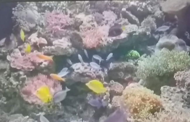 LeMarida Suites - Foto 27