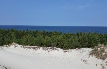 Kubiczówka - Foto 16