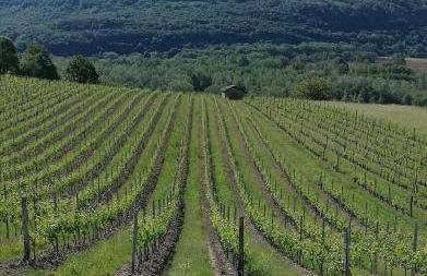 Villa Bellevue - Foto 19