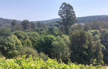 Green Paradise Glamping - Foto 72