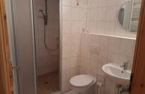 Bauernhofpension Büchsenschütz - Foto 60