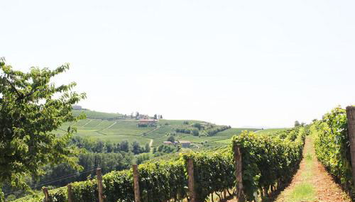 CA' DIJ SARACH - Foto 5