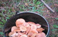 TERRA DO MAR ático nuevo en Costa da Morte, Camino de los faros - Foto 63