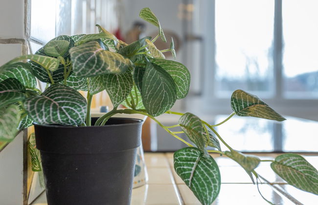 Le Vert Coteau - Foto 16