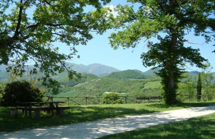 Agriturismo Ca' le Suore - Foto 107