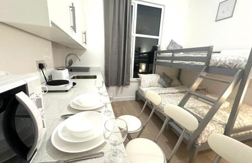 Finsbury Park Studio Apartments - Foto 44