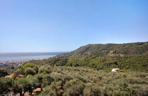 I Girasoli - Foto 25