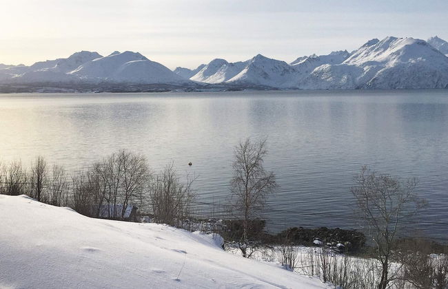 6 Person Holiday Home in Olderdalen - Foto 36