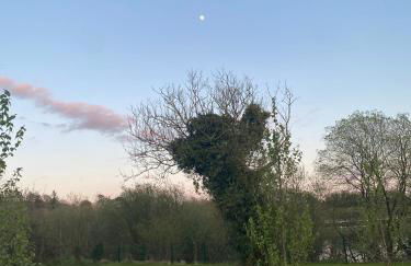 Killyfole lakeside lodges - Foto 30