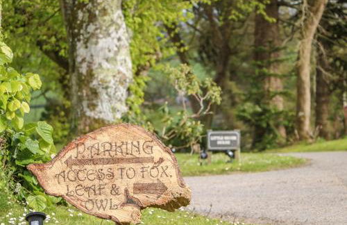 Little Silver Owl - Foto 25