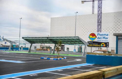 Las Canteras Aquarium - Foto 45