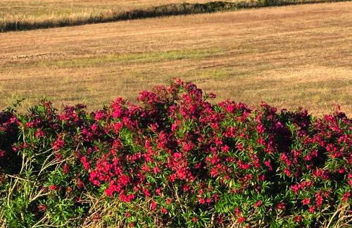 Le casette di Frà Studios - Foto 38