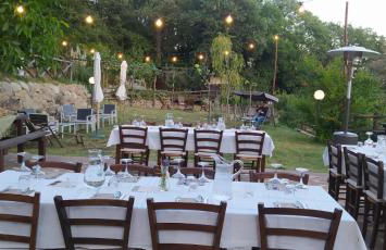 Azienda Agricola Biologica La Cardellina - Foto 11