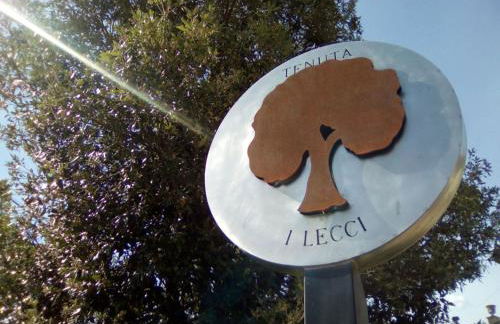 Apartment Flache Linde by Interhome - Foto 15