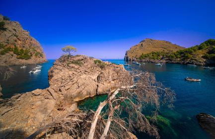 Can Furios Hotel by Can Calco Hotels - Foto 100